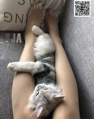 韩剧无删减