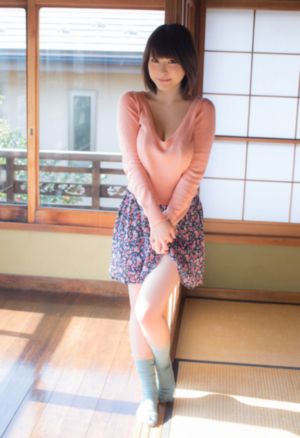 反贪局长